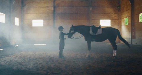 Cinematic slow motion of young female horsemanship master dressed in a professional apparel is caressing her bay horse before to start practising exercises for competition of horse racing and dressage