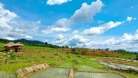 Time lapse, Clouds moving over the rice terrace fields reflected in the water at Pa Bong Piang village Chiang mai, thailand. video 4k