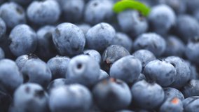 Blueberry background. Ripe and juicy fresh picked blueberries rotate backdrop, closeup. Organic Blue berries  with a leaf rotation, macro shot. Vegan sweet food, market. Slow motion 4K UHD video