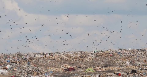 People in uniform clean up waste in massive landfill. People and birds on huge garbage dump developing third world country. Recycling problem and environmental pollution. Trash, litter, rubbish heap.