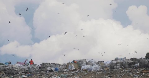 Trash hills with waste in not recycling garbage country. Workers in uniform clean and sort garbage in massive city dump. Flocks birds circling over garbage and people. Enviromental pollution problem.