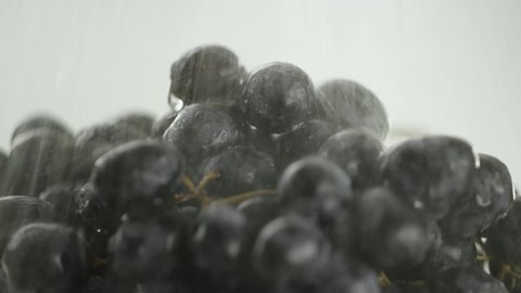 in the video we see the grapes,water to pours from the top in the middle of the video water stop, close-up, white background