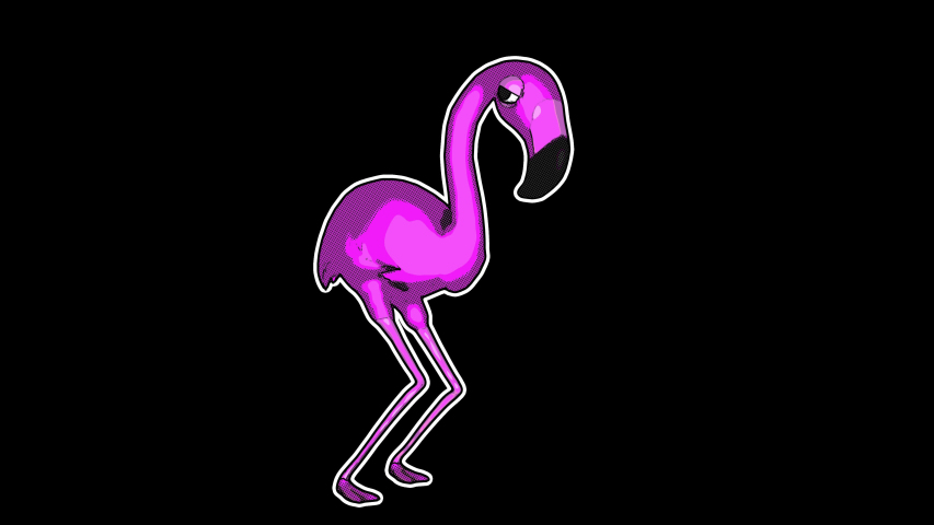 Seamless Animation Of Cartoon Flamingo Stock Footage Video 100