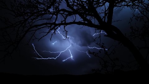 Big Tree Silhouette, Thunderstorm Timelapse