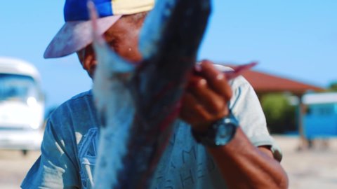 Bonaire, Venezuela - 01 17 2019: Slow motion shot of a Caribbean fisherman filleting a fish with a knife by the ocean