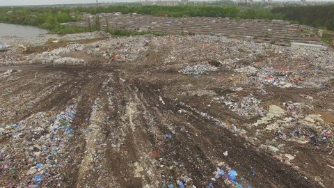 Huge city toxic dump where crows and seagulls fly at forest