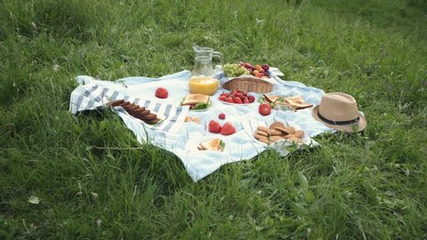 summer picnic on the grass with an open picnic basket, fruit, with toasted sandwiches and berries. picnic tablecloth