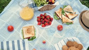 summer picnic on the grass with an open picnic basket, fruit, with toasted sandwiches and berries. picnic tablecloth - Powered by Shutterstock - Get 15% off with code: PIKWIZARD15