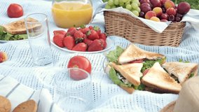 summer picnic on the grass with an open picnic basket, fruit, with toasted sandwiches and berries. picnic tablecloth - Powered by Shutterstock - Get 15% off with code: PIKWIZARD15