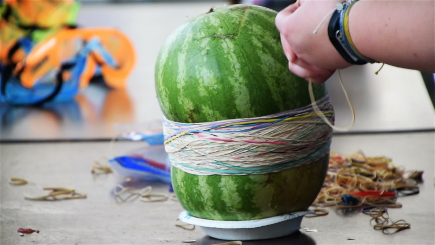 Rubber bands are placed around a watermelon until it explodes. Royalty-Free Stock Footage #1034094050