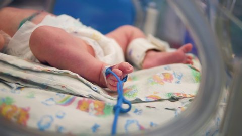 Newborn baby sleeps in a medical incubator in a ward.