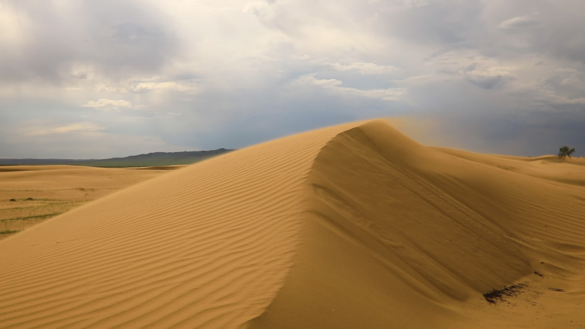 windstorm desert buggy