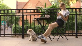 stylish caucasian model with pigtails haircut sitting on terrace with jack russell terrier watch video on smartphone social internet media technology outside loft 5g summer