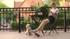 young caucasian blogger with pigtails haircut sitting on terrace with jack russell terrier watch video on smartphone social internet media technology outside loft 5g summer