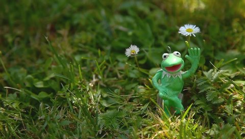 Kermit The Frog The Muppets Stock Video Footage - 4K
        and HD Video Clips | Shutterstock