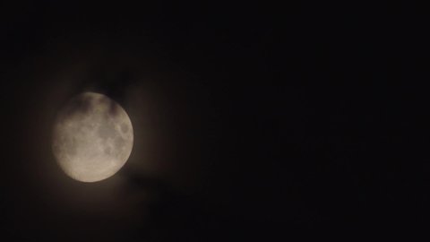 Time-lapse of a soft-focused big moon as ites along behind sharply focused foliage with a creepy horrorie feel to it.