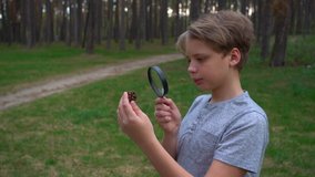 Cute white kid exploring nature in green summer forest using magnifying glass. Real time 4k video footage.