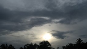 Morning Sunrise with bright sunlight & sun rays on scary dark clouds sky with  tropical summer mist over silhouette coconut palm tree plantation in early sunshine day, inspiration concept TimeLapse. 