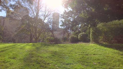 Hyde Park Sydney CBD NSW Australia Camera Tracking Sun Flares On A Beautiful Sunny Day Captured With a Stabilised Camera