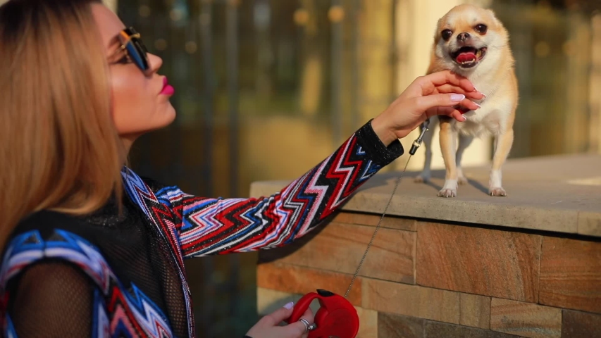 Young elegant woman touch her little dog in city