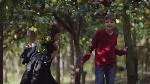 A brother and sister walk through lemon trees. Wide shot