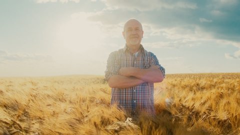 Portrait shot of the old handsome senior farmer in the plaid shirt holding hands grossed in front of him and turning face to the camera, smiling cheerfully in the middle of his wheat field mansion.