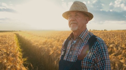 Portrait of the handsome caucasian senior man farmer in a hat looking at the side and thinking in the golden wheat field. Close up.
