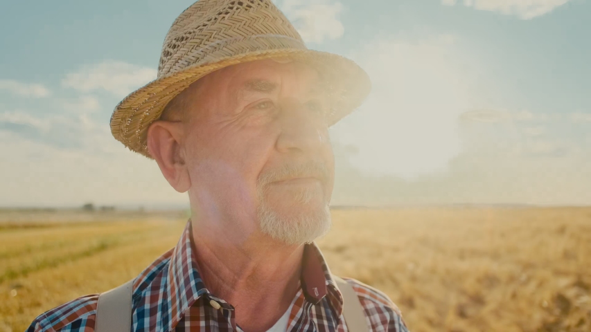 Close up of the senior Caucasian good looking wise man farmer in a hat looking at the side, turning face to the camera and smiling in the wheat field. Portrait. Royalty-Free Stock Footage #1034243456