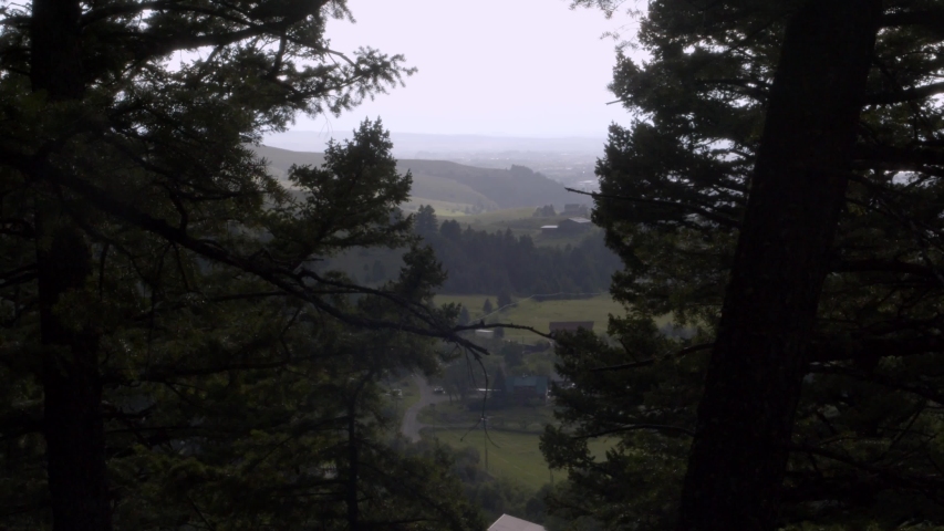 Foggy view of the country between two pine trees.