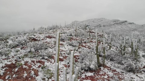 An aerial view of snow on saguaro cactus and red rock. Shot in the Sonoran Desert near Tucson, Arizona.