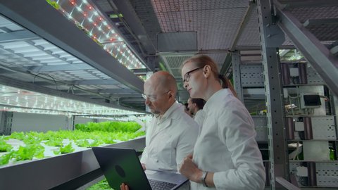 A team of scientists explores vegetables grown in vertical farms using computers and tablets. Vegetable farm of the future, fresh and clean products without GMO