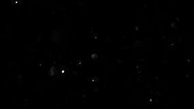 Abstract particles floating, motion, random flickering. Falling snow. Dust sparkles on black background. Real Glittering flying particles Bokeh. Holiday backdrop. For screen mode. Slow motion 4K UHD
