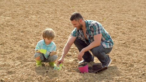 Dad and son take the vegetable on a sunny day in a garden - father and son planting in village. Eco farm worker. Eco life. Full body portrait of little boy planting in a farm