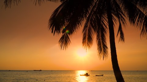 Orange Sky Silhouette Palm Tree Branch. Nature Sunset Beach Sea Tropical Island Palm leaves against the setting sun cinemagraph seamless loop