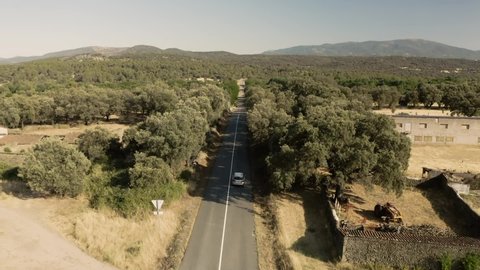 Silver car driving down an asphalt road crossing the vast forest on a sunny summer day in Castilla Leon. Drone footage. Drone pursuit.