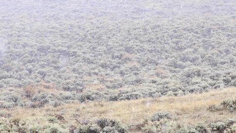 Light snow falling on the open prairie with camera movement to the right, Wyoming.