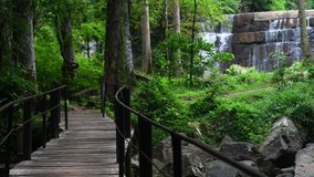 Wooden walkway and waterfall in forest