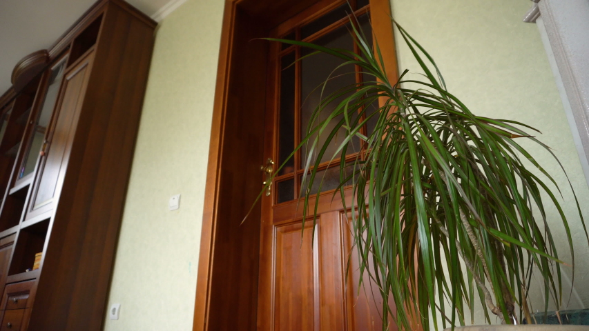 A man with a beard peers into the room through the door. Serious face. Light shirt Wooden frame. Sunlight. 