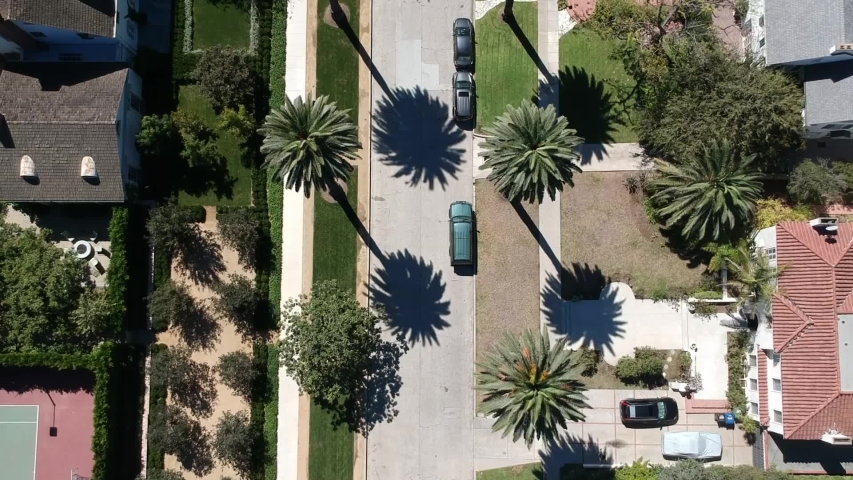 Aerial top down view and vertical pan shot of a street in the middle of palm trees in Los Angeles, California