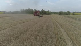 Aerial video. Agricultural work. Combine harvester gathers the wheat crop. 4K
