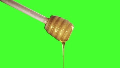 Honey dripping from honey dipper on green screen