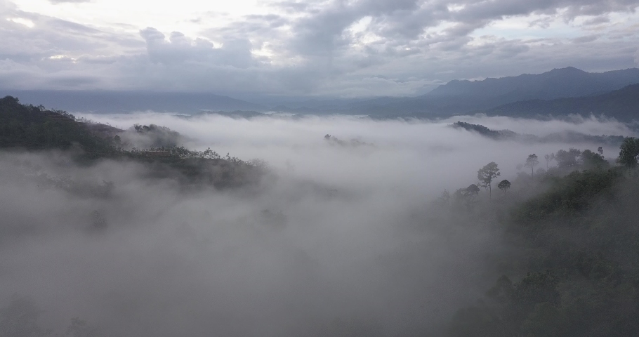 Foggy morning in the mountains. 