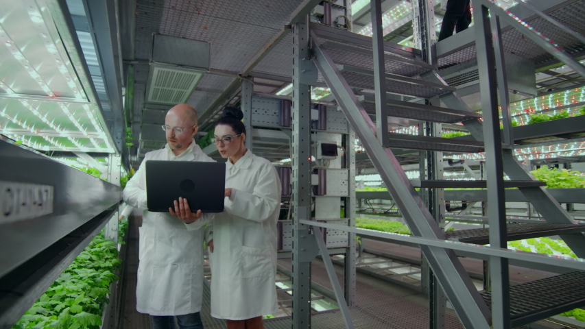 A group of people in white coats with a laptop and a tablet on a hydroponic farm contribute research data on vegetables to the data center for analysis and programming of plant irrigation Royalty-Free Stock Footage #1034381867