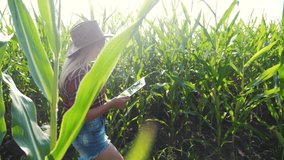 smart farming slow motion video concept. agronomist girl holds tablet touch pad computer in corn field is studying and examining crops before harvesting lifestyle . female a Agribusiness concept