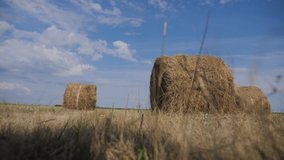 agriculture farming concept slow motion video. haystacks on wheat field under the beautiful blue lifestyle cloudy sky. Agriculture field with sky. Rural nature in the farm land. Straw on the meadow