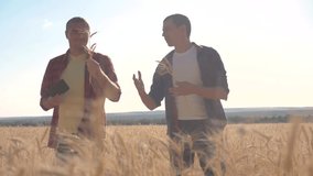 teamwork smart farming slow motion video. two farmers work in wheat field. farmers explore are studying. man with digital tablet Wheat Field summer in lifestyle the field wheat bread. slow motion