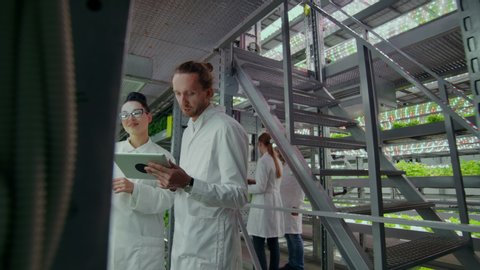 Genetic engineering. Doctors in white coats look and adjust the work of the vertical farm checking the plants and looking into the screens of tablets.