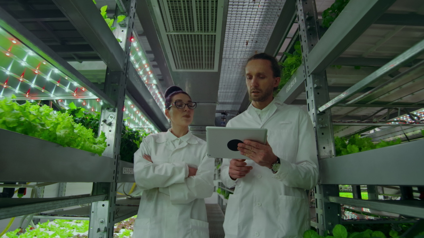 A group of engineers in white coats walk on the modern vertical farm of the future with laptops and tablets in their hands studying and discussing the results of the growth of green plants. Royalty-Free Stock Footage #1034391992
