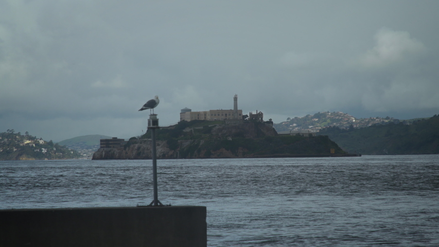 This cinematic scene of Alcatraz from Pier 39 in San Francisco is the perfect setting shot for your travel show, historical doc, and more!  Shot in 4K UHD resolution.
