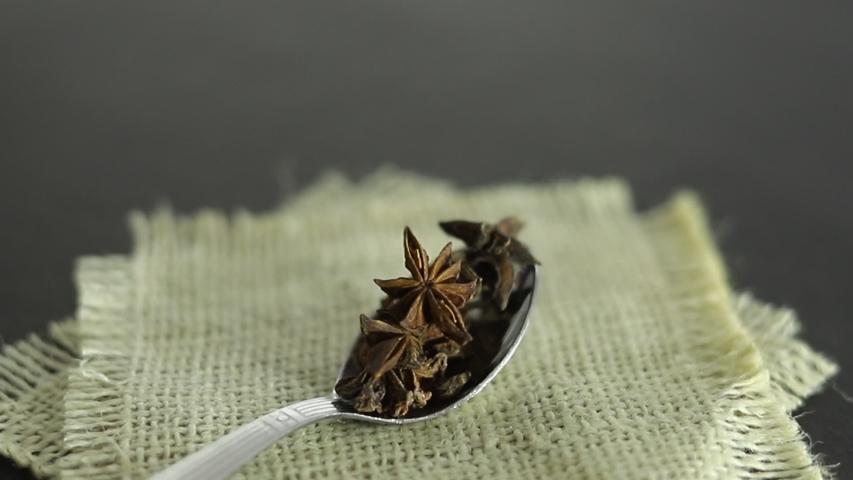 Anise star on spoon on dark background
